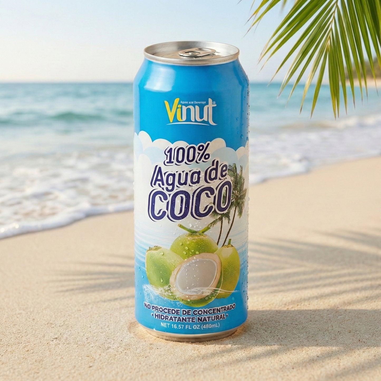 VINUT PURE COCONUT – 100% NATURAL COCONUT WATER 24 pack 16.9oz each